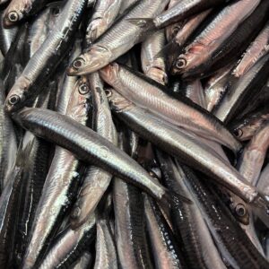Anchoa Boqueron