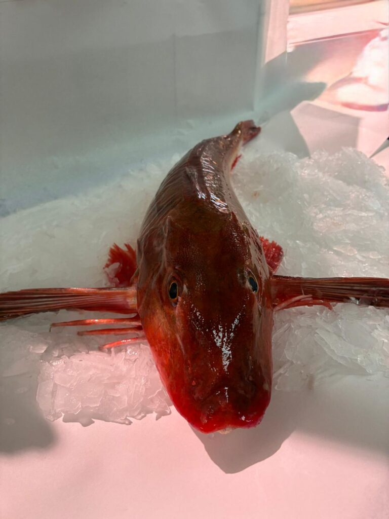 Arraingorri - Perlon