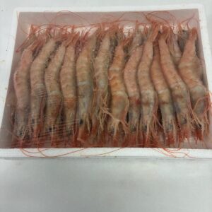 Gamba Blanca de Huelva